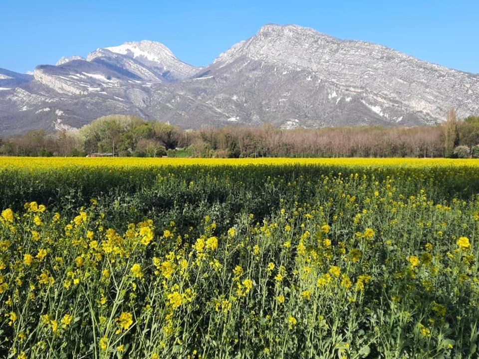 Les Champs Dores Noyarey Kültér fotó